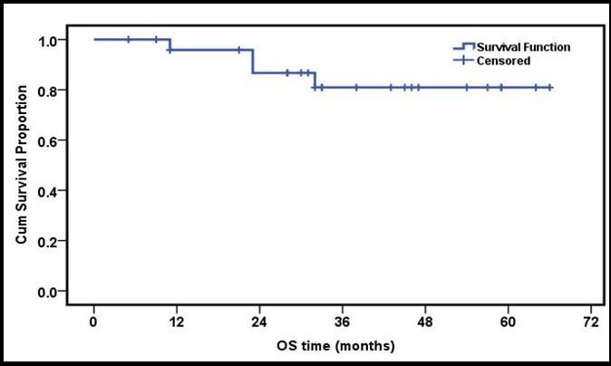Journal of Otolaryngology Advances-Radiotherapy