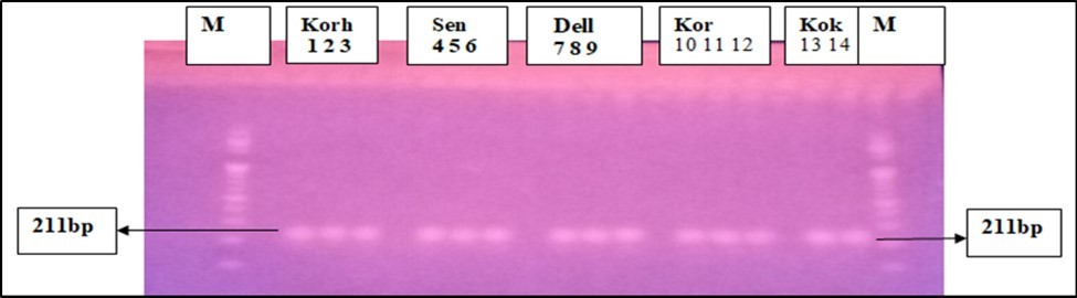 Biosafety