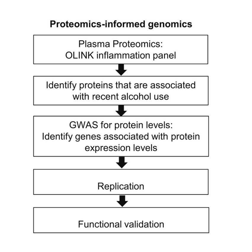 Genetic Polymorphism