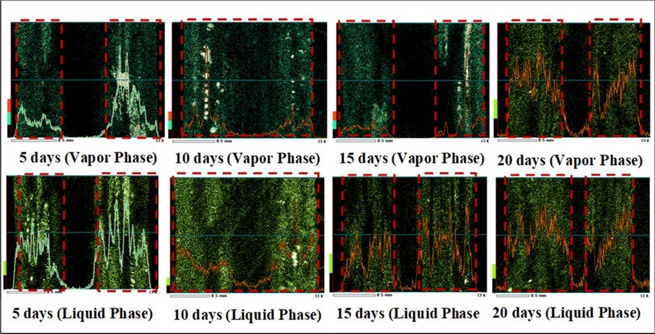Journal of Current Scientific Research - Fiber Reinforced