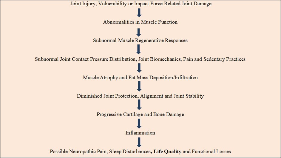 Journal of Ageing Research and Healthcare - Osteoarthritis