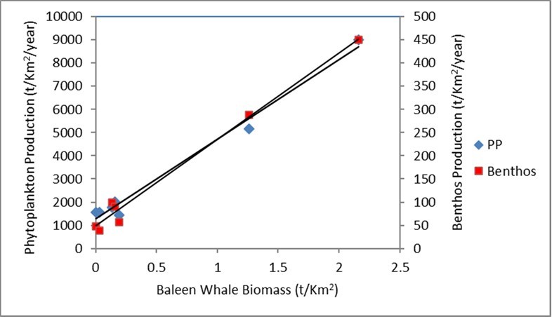 International Marine Science Journal - Whale krill consumption