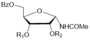 Journal of New Developments in Chemistry - N-glycosyl oxazolines