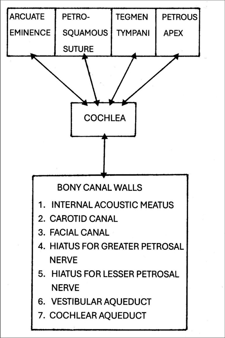 Journal of Otolaryngology Advances - The Brainstem Auditory Evoked Potential
