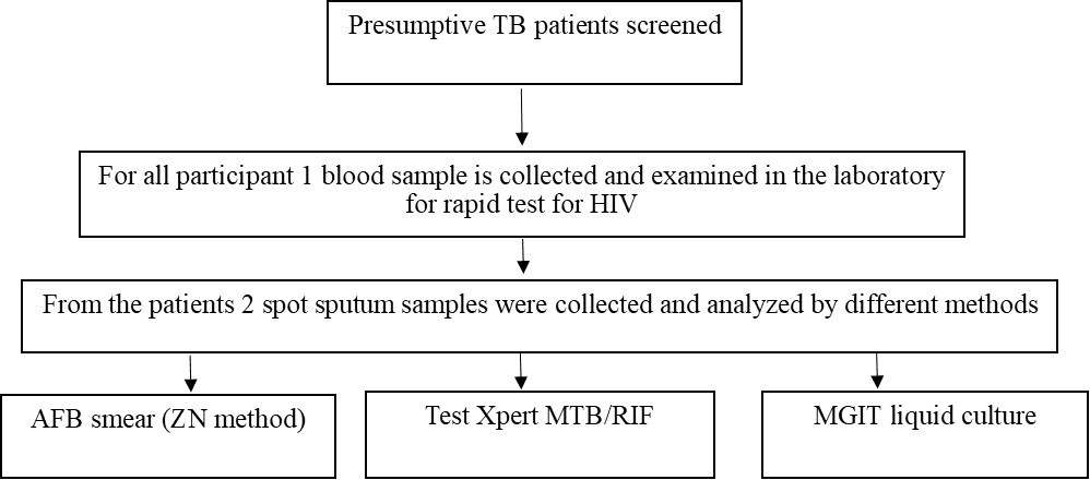 International Journal of Clinical Microbiology - Tuberculosis