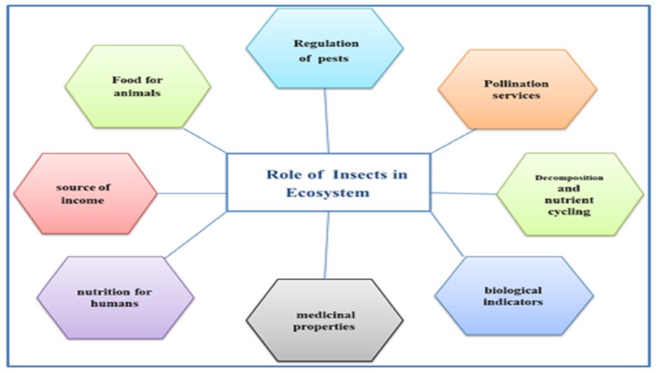 International Journal of Entomology - Insect Species