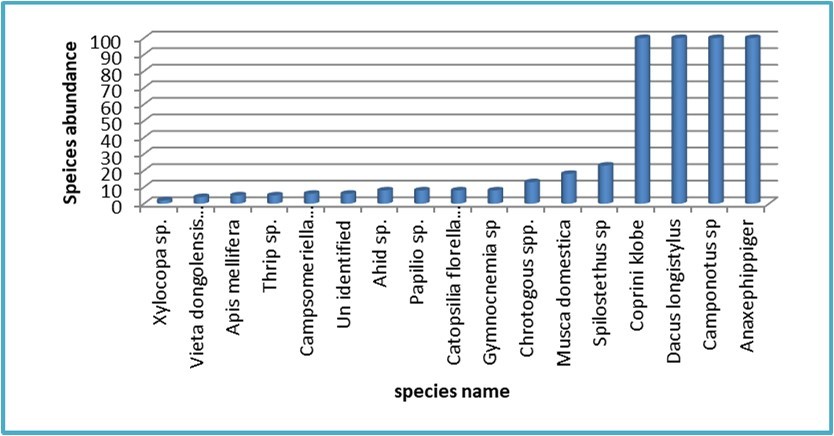 International Journal of Entomology - Insect Species