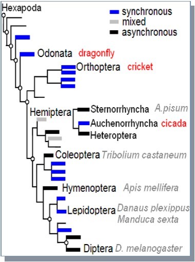 Journal Of Proteomics And Genomics Research-insect