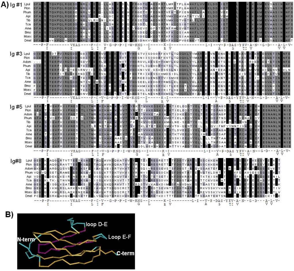 Journal Of Proteomics And Genomics Research-insect