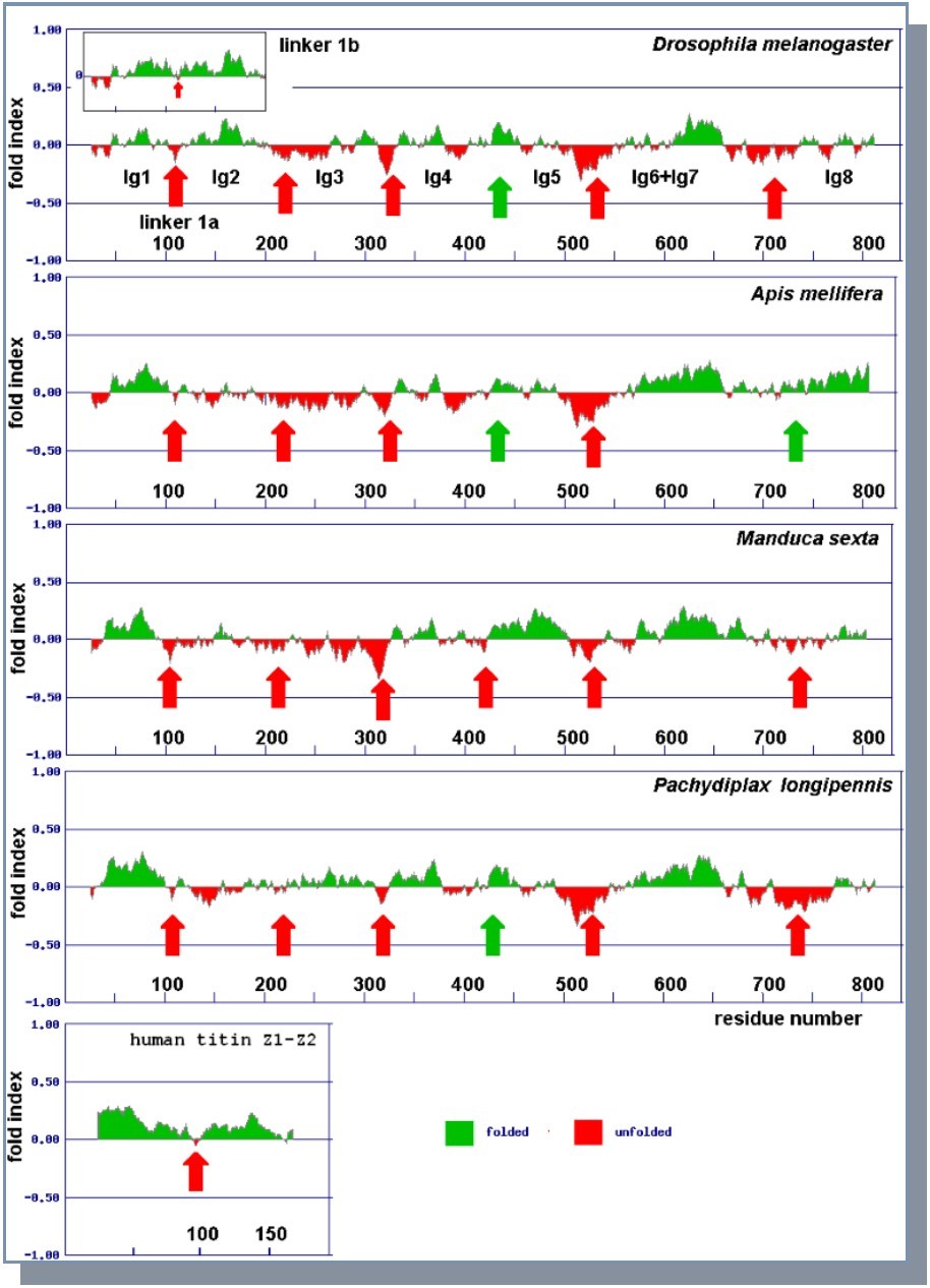 Journal Of Proteomics And Genomics Research-insect