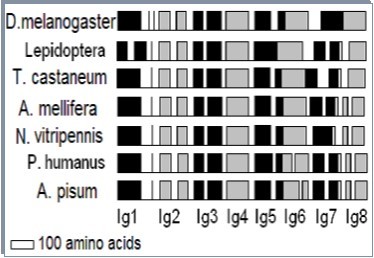 Journal Of Proteomics And Genomics Research-insect