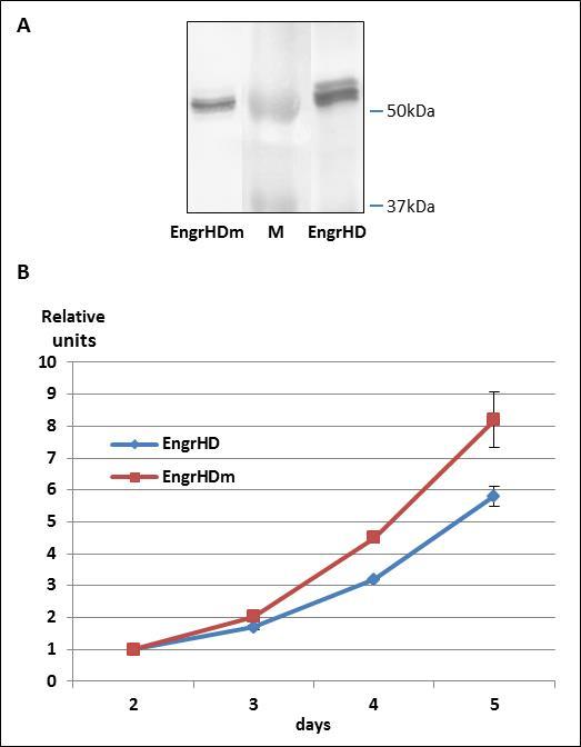 Journal Of Thyroid Cancer-thyroid