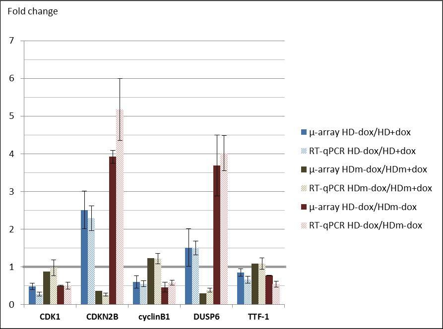 Journal Of Thyroid Cancer-thyroid