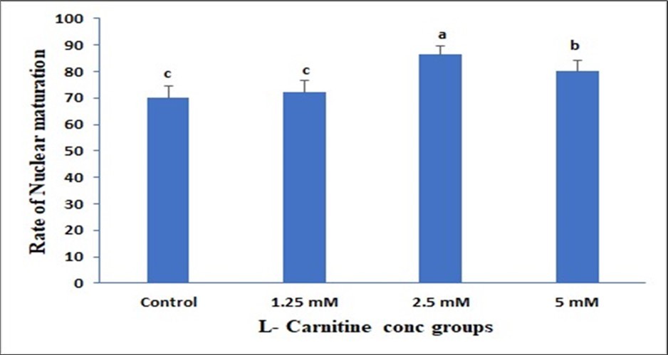 Journal of Veterinary Healthcare - L Carnitine