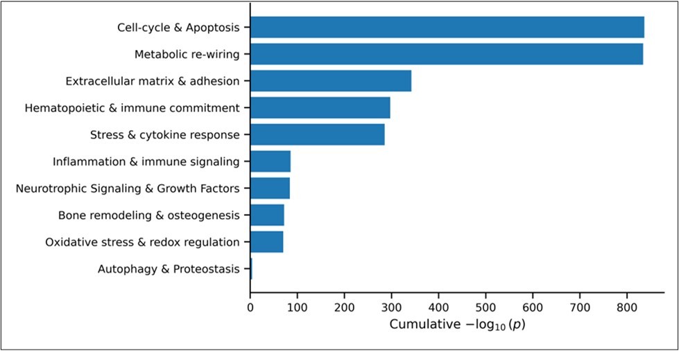 Journal of Hematology and Oncology Research - Hematopoiesis