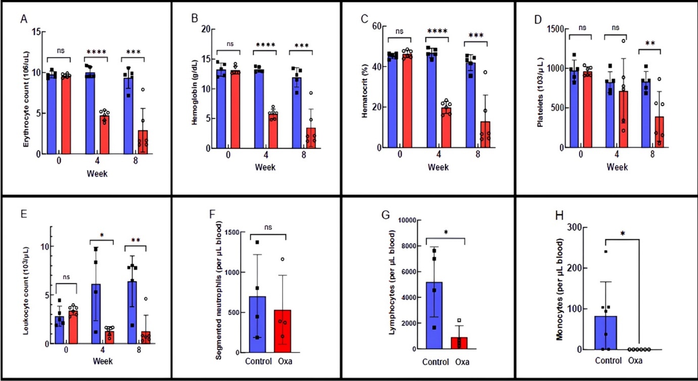 Journal of Hematology and Oncology Research - Hematopoiesis