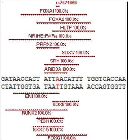 Journal Of Bioinformatics And Diabetes-STAT4