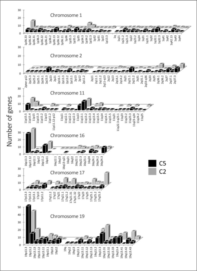 Journal of DNA And RNA Research-gene clustering