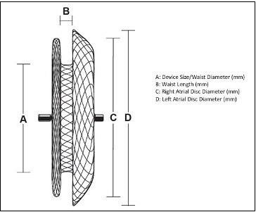 Journal Of Colon And Rectal Cancer-cardiac septal occluder