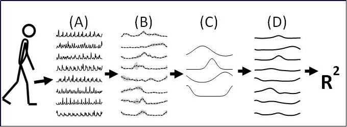 Journal of Neurological Research And Therapy-Surface electromyography (SEMG)
