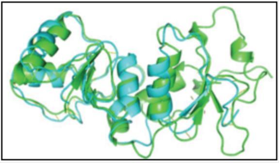 Journal of Cancer Genetics And Biomarkers-Hereditary Breast and Ovarian Cancer