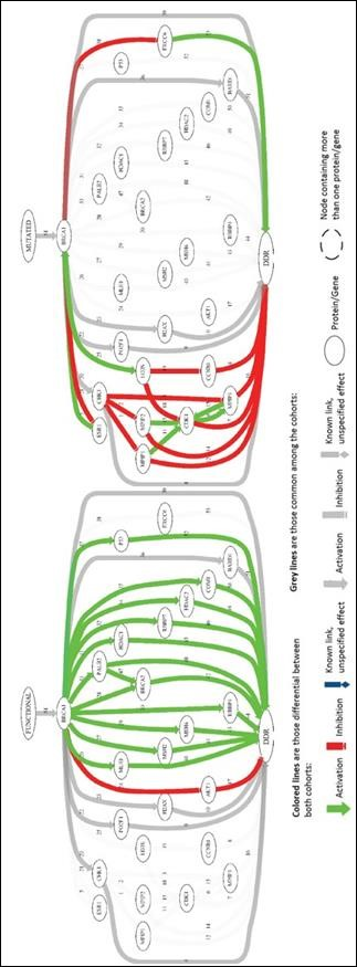 Journal of Cancer Genetics And Biomarkers-Hereditary Breast and Ovarian Cancer