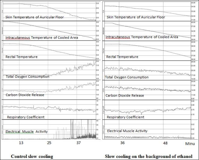 Journal of Glycomics and Metabolism-TRPM8 ion channel