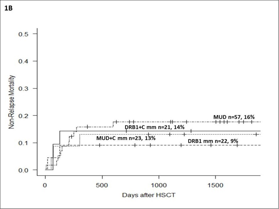 Journal of Bone Marrow Biology -HLA-DR