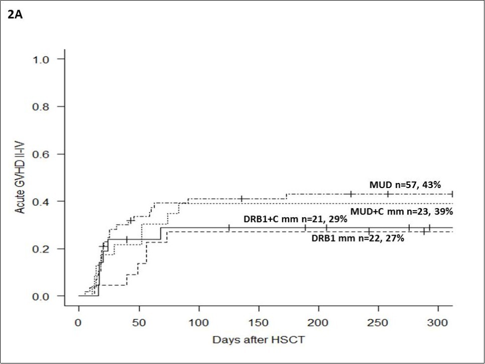 Journal of Bone Marrow Biology -HLA-DR
