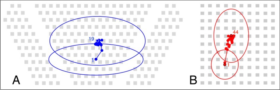 Journal Of Human Psychology-Spatial exploration