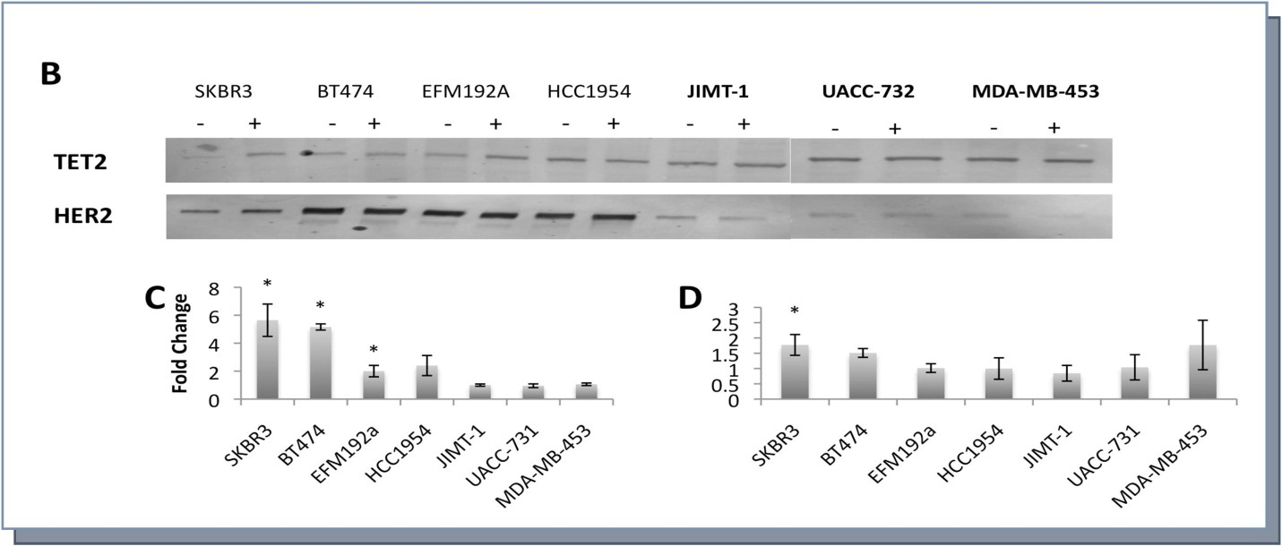 Journal of Proteomics and Genomics Research-Breast