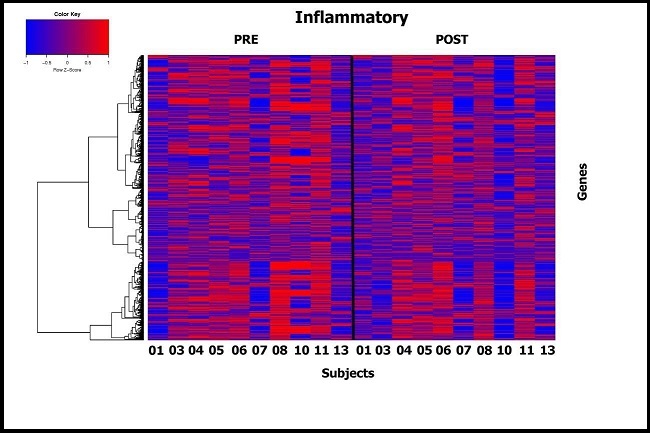 International Journal of Nutrition-n-3 fatty acids