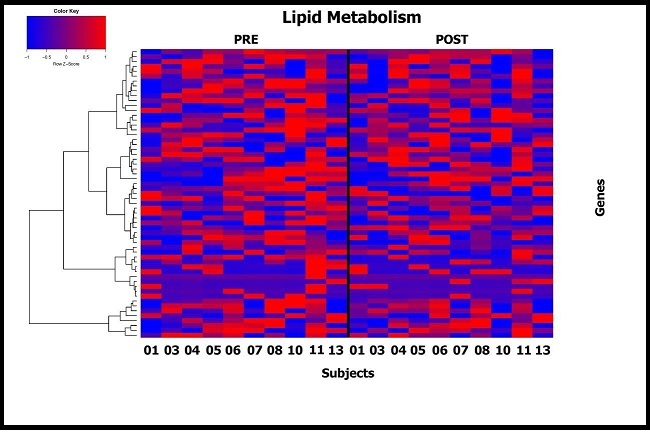 International Journal of Nutrition-n-3 fatty acids