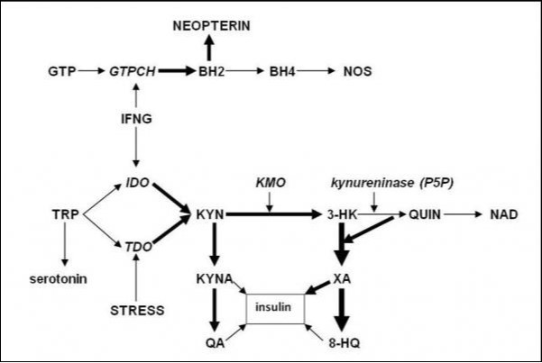 Journal Of Bioinformatics And Diabetes-diabetes