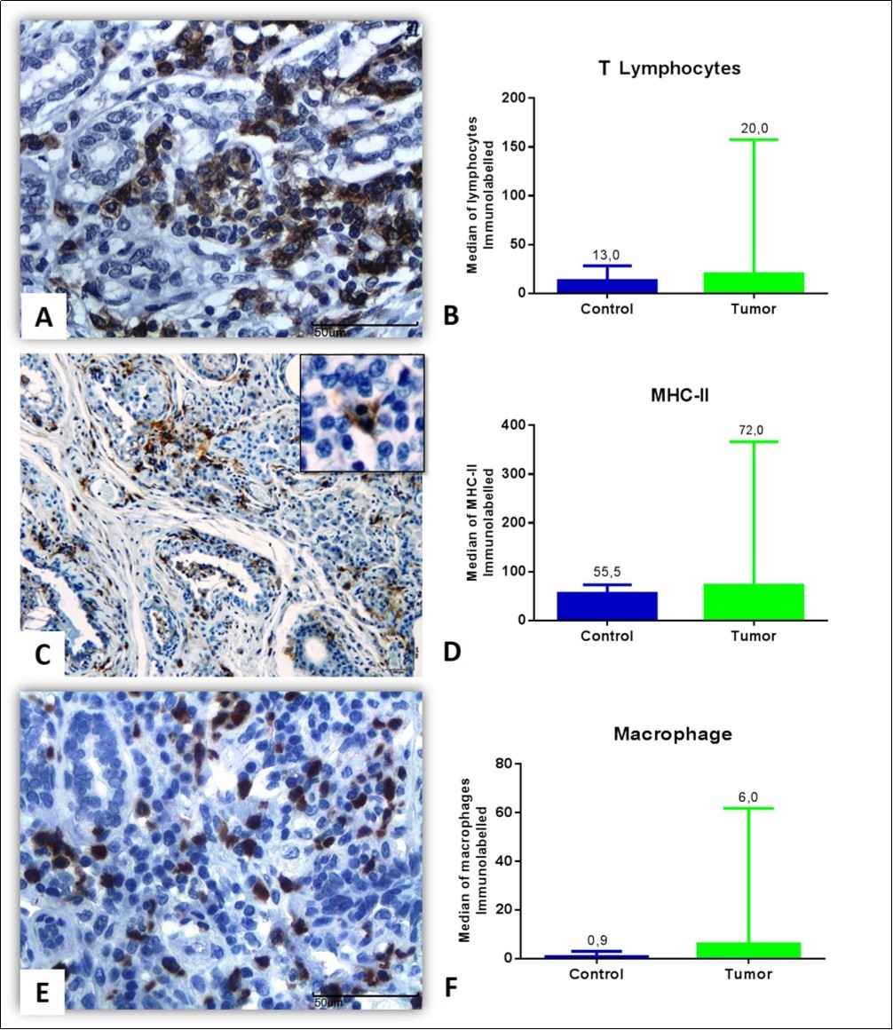 Journal of Veterinary Healthcare-breast neoplasia