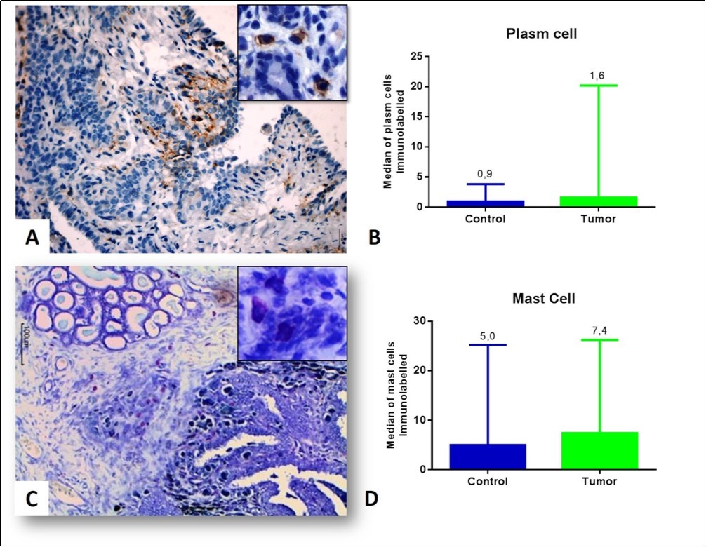Journal of Veterinary Healthcare-breast neoplasia