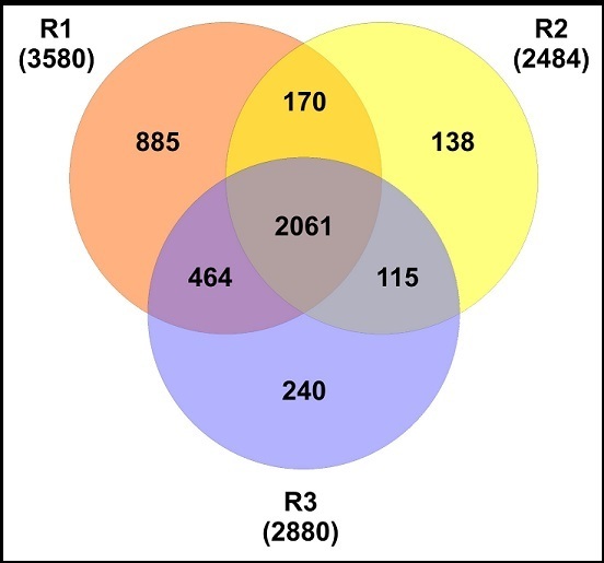 Journal of Proteomics and Genomics Research-Crassostrea rhizophorae