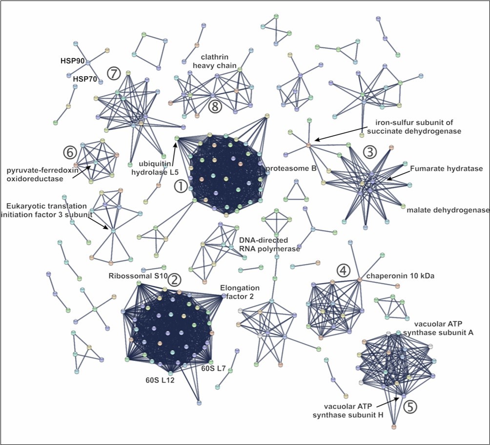 Journal of Proteomics and Genomics Research-Crassostrea rhizophorae