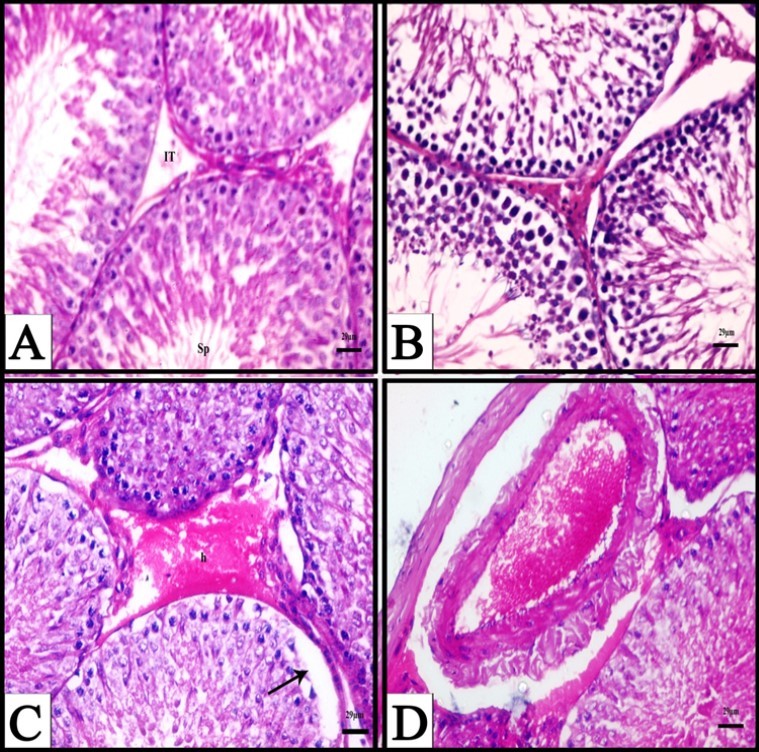 Journal of Biotechnology and Biomedical Science-Cyclophosphamide