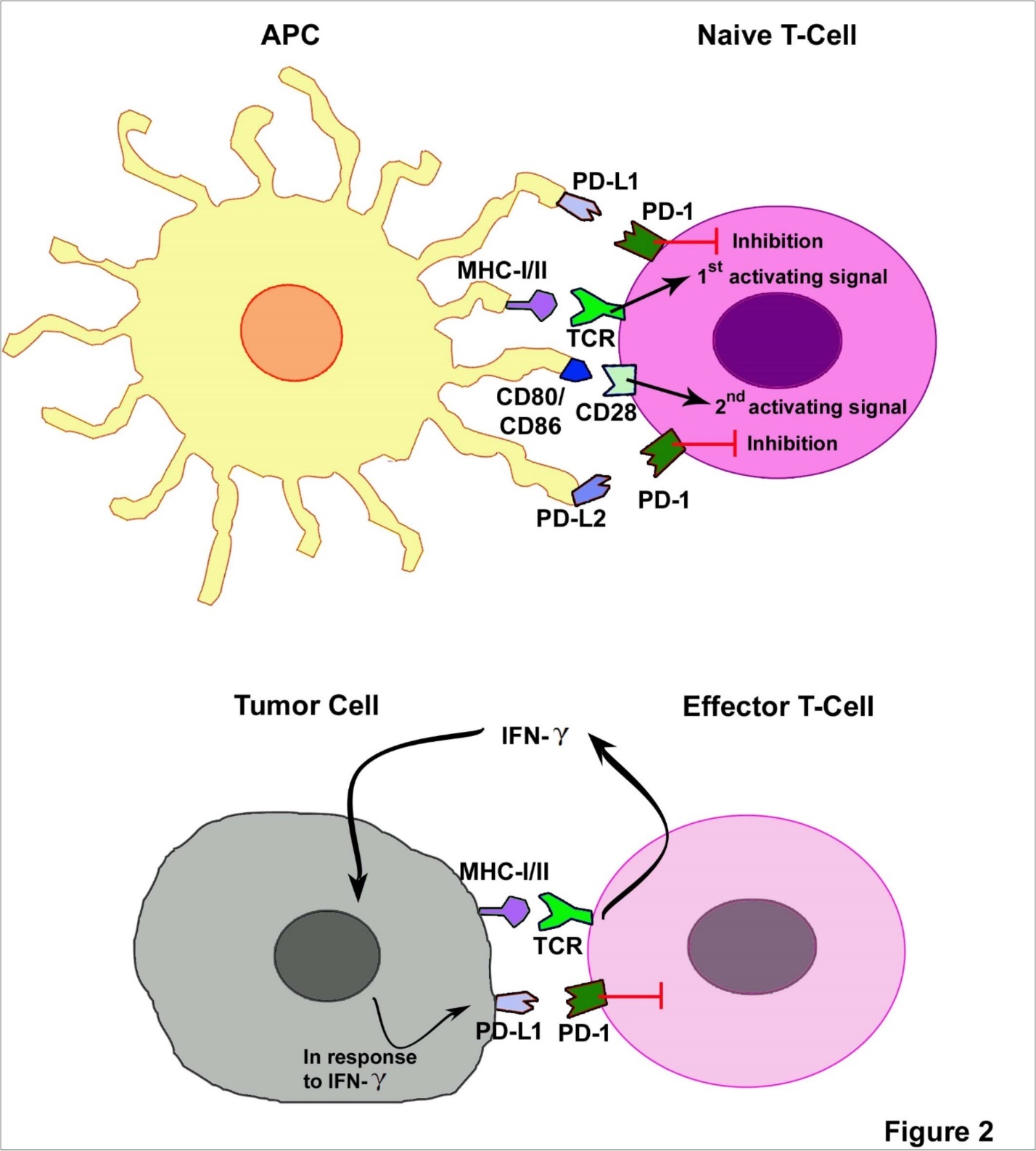 Journal of Dermatologic Research And Therapy-melanoma