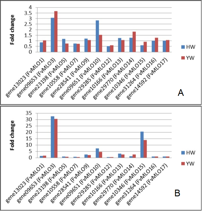 Journal of Advances in Plant Biology-Fragaria vesca