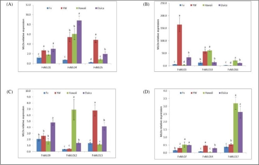 Journal of Advances in Plant Biology-Fragaria vesca