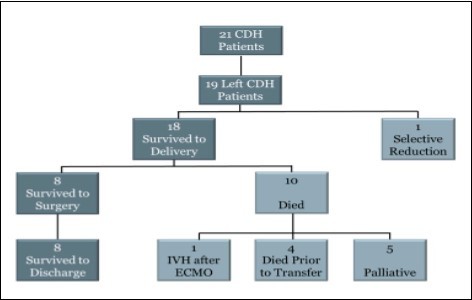 Congenital diaphragmatic hernia