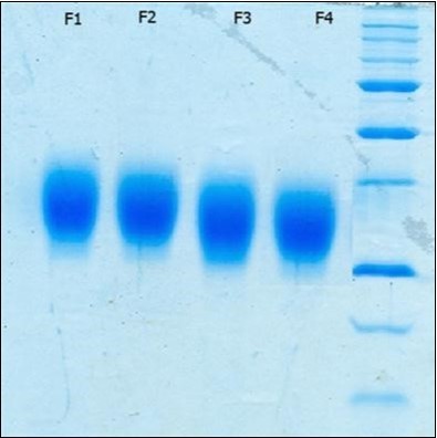 Journal of Advanced Pharmaceutical Science and Technology -erythropoietin