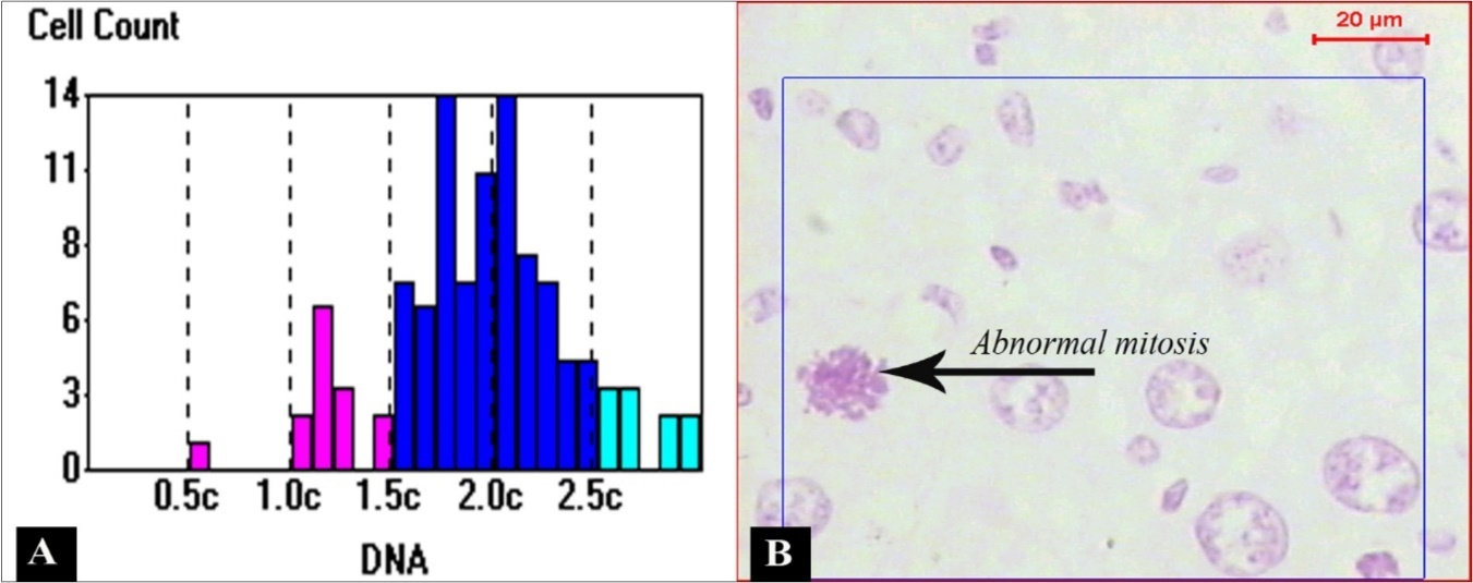 Journal of Experimental and Clinical Toxicology-buspirone