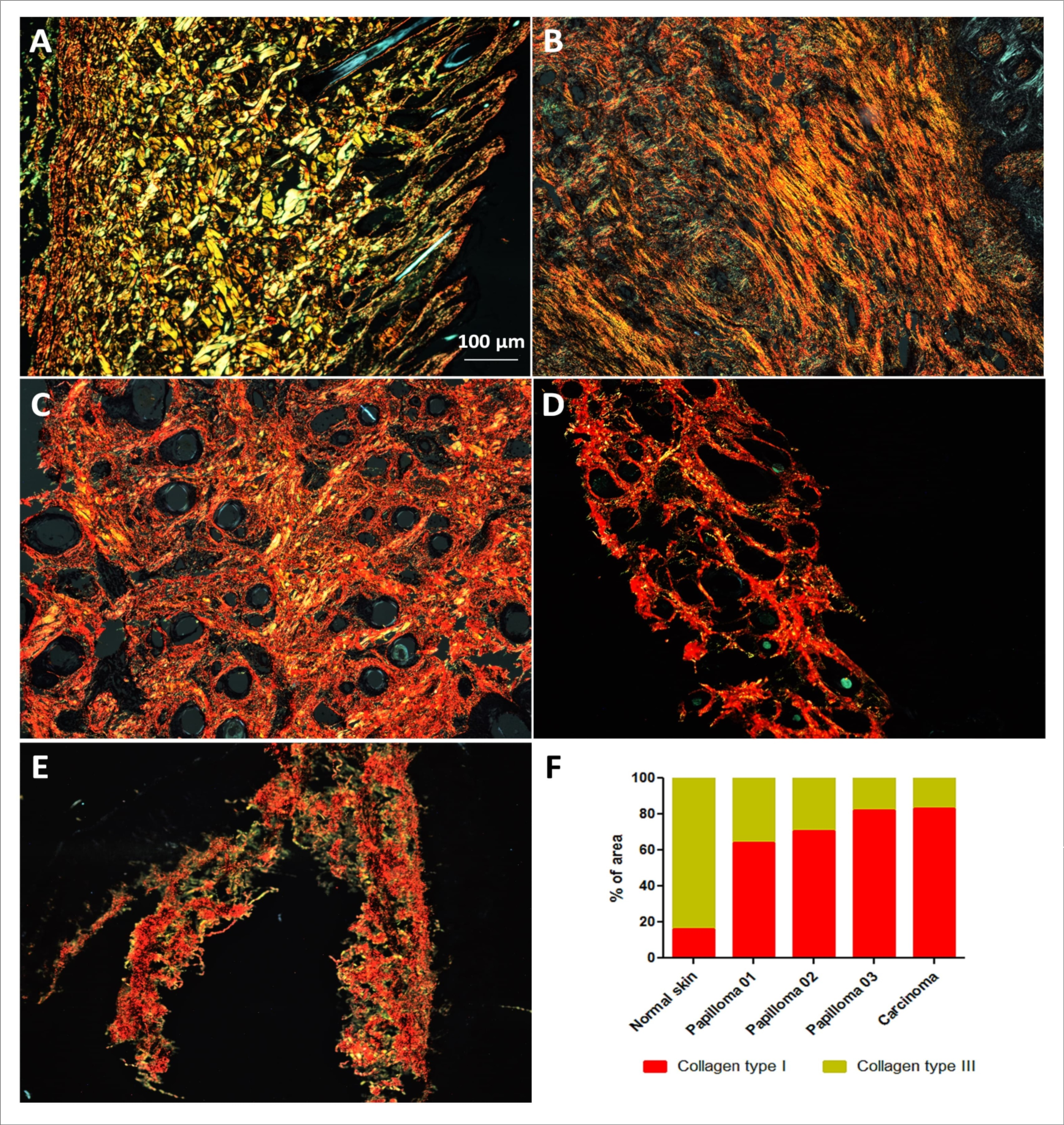Journal of Biotechnology and Biomedical Science-BPV