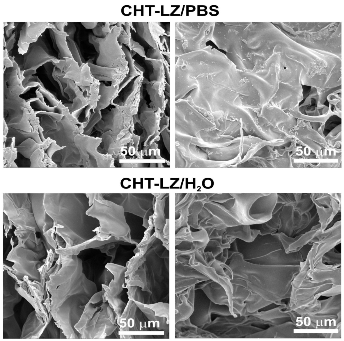 Journal of Tissue Repair and Regeneration-chitosan