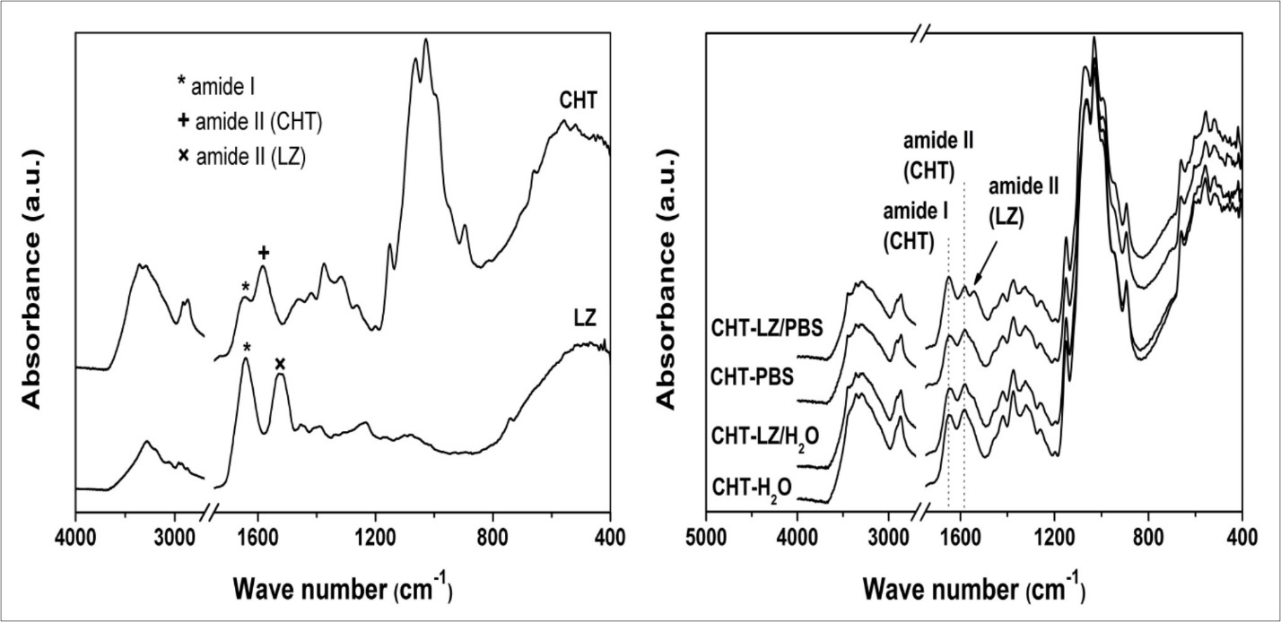 Journal of Tissue Repair and Regeneration-chitosan