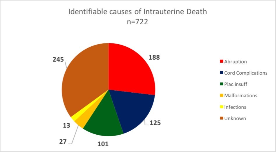Journal Of Preventive Medicine And Care-perinatal mortality