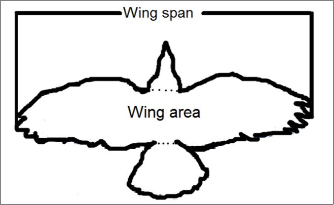 Journal of Veterinary Healthcare-Aerodynamics